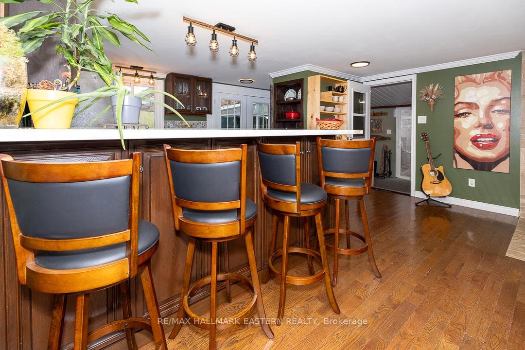 59 Dranoel Drive photo 15