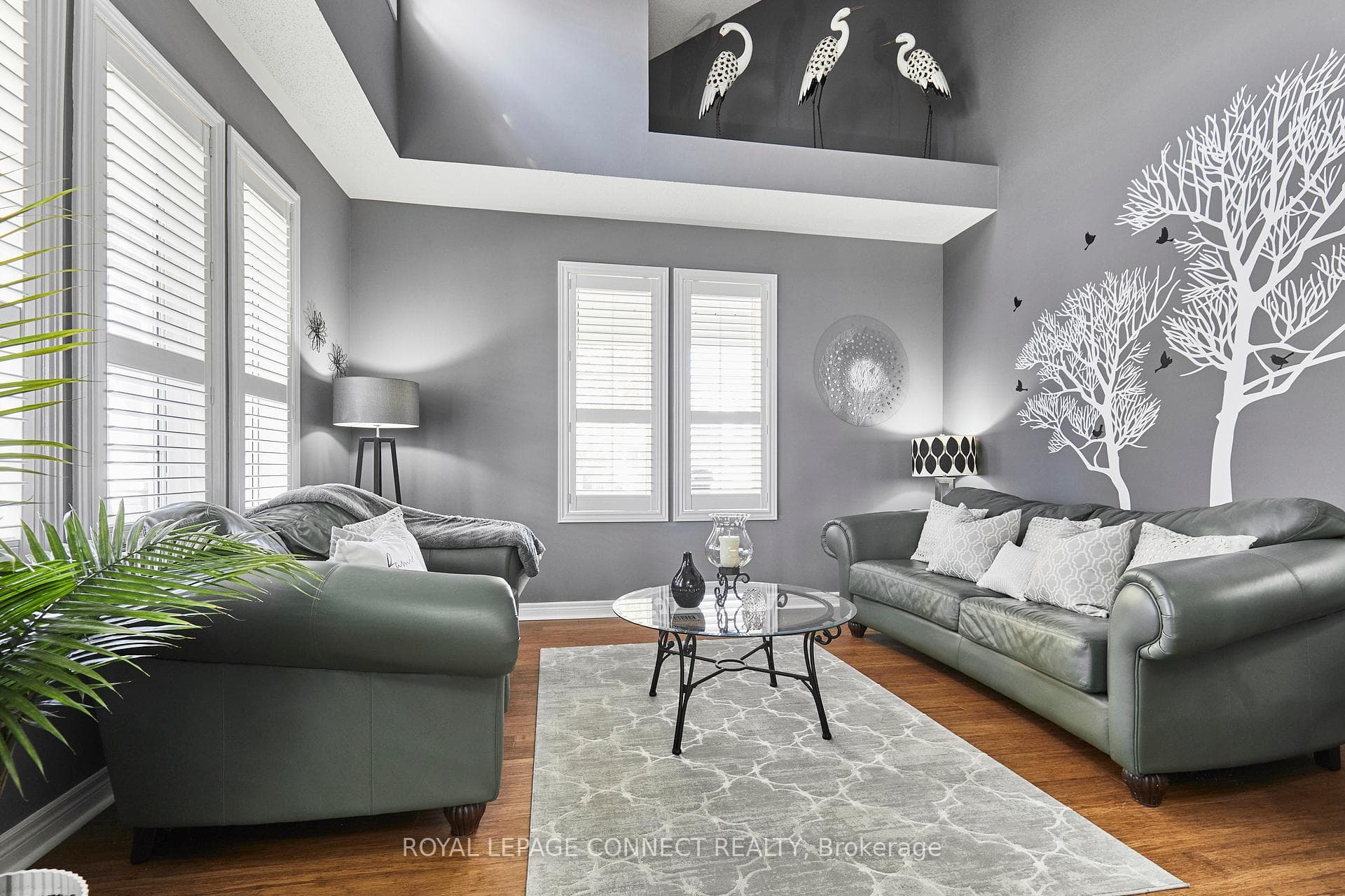 133 Vipond Road photo 7