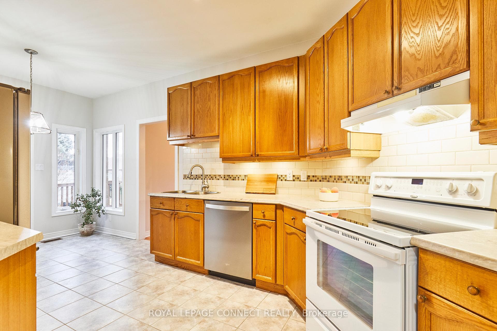 Under Cabinet Lighting & Backsplash