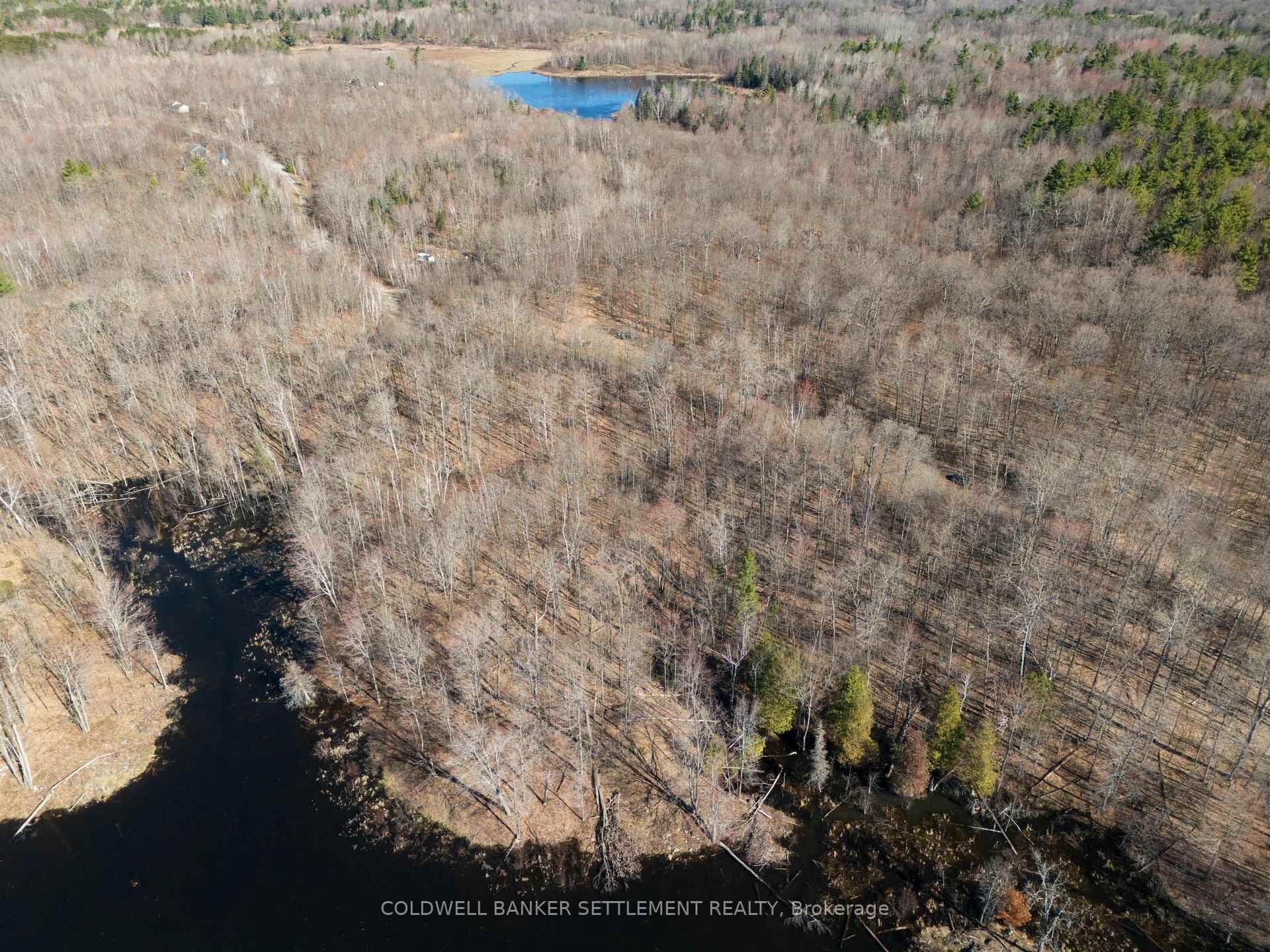 0 Red Pine Road photo 25
