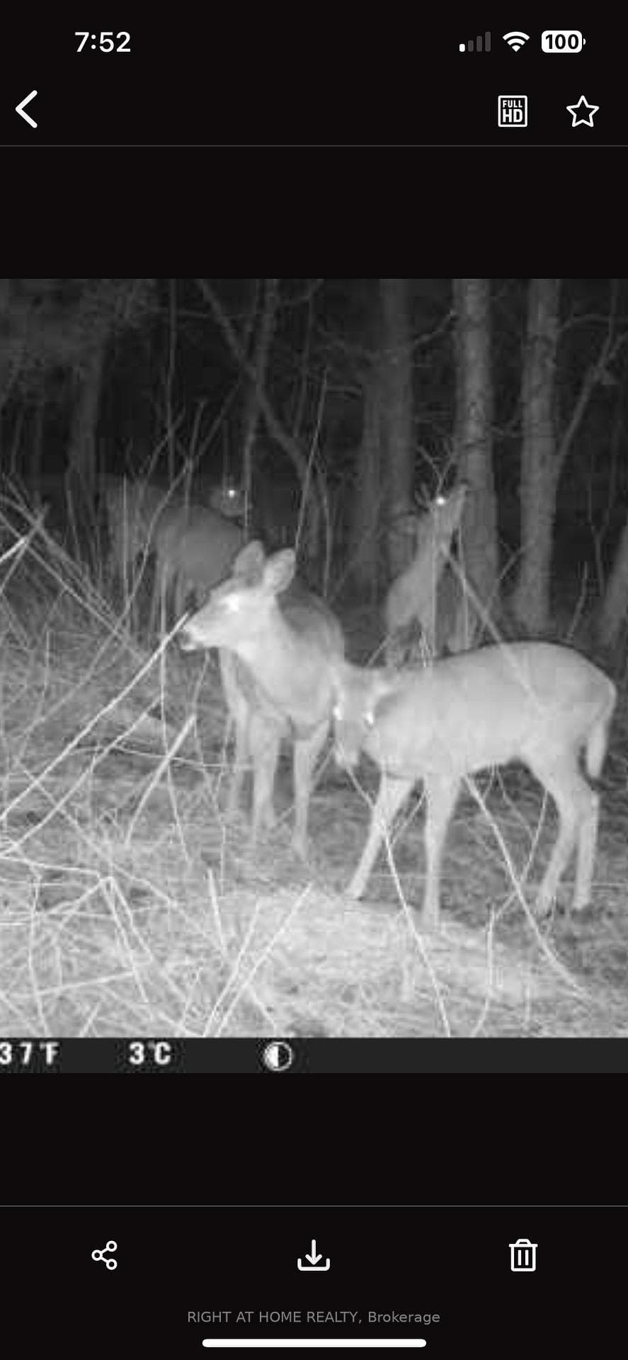 0 Mount Horeb Road photo 12