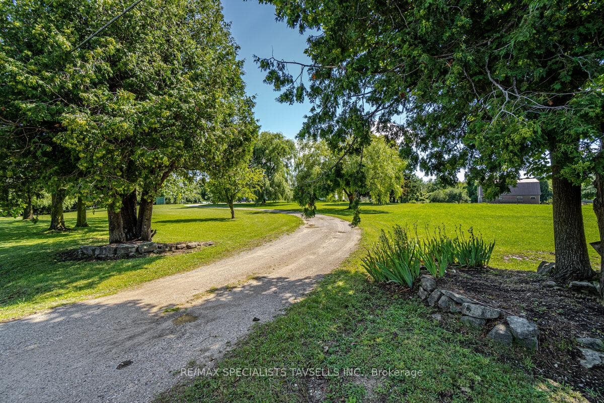 15558 Shaws Creek Road photo 6
