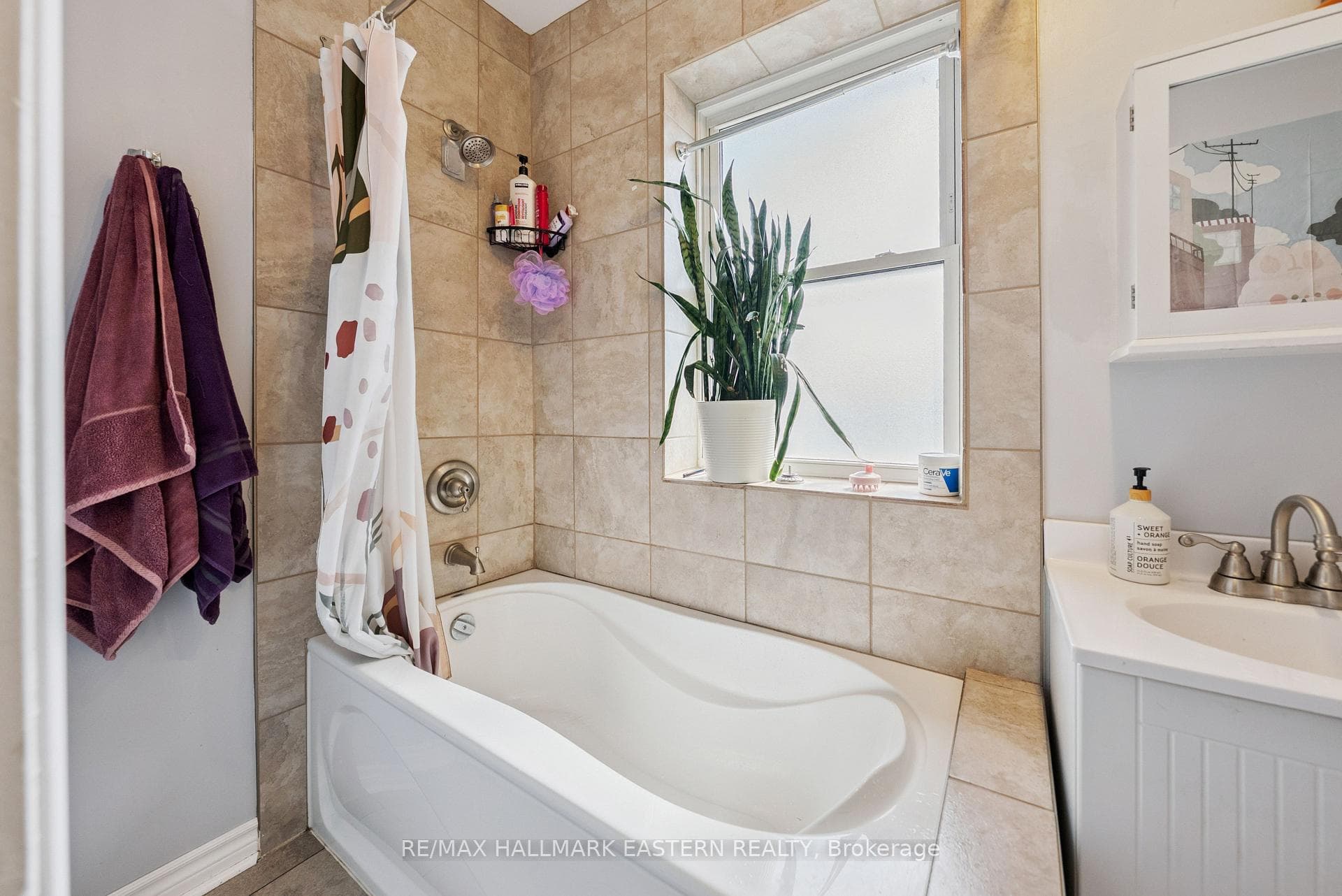 213 Brock Street photo 34