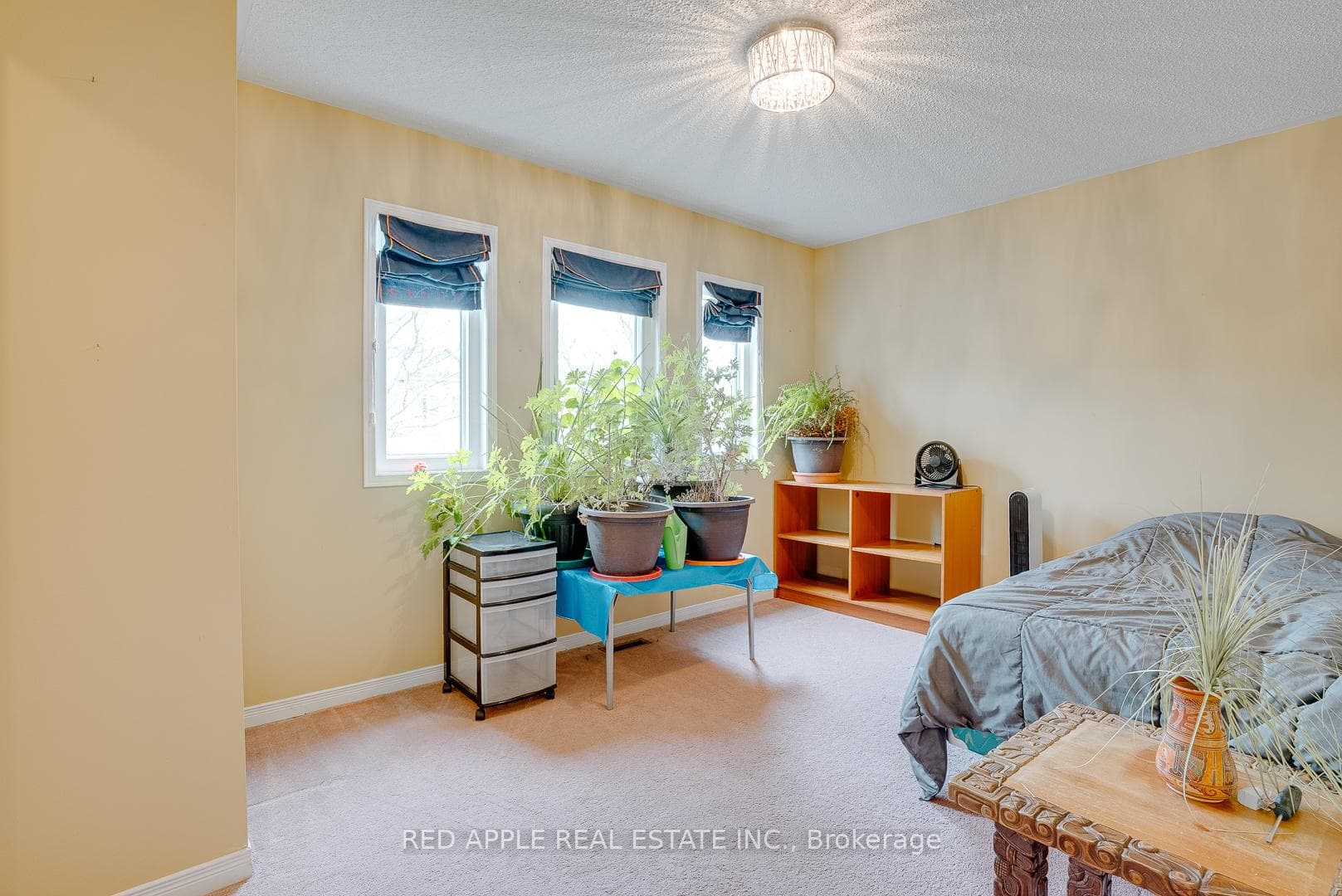 60 Snedden Avenue photo 23