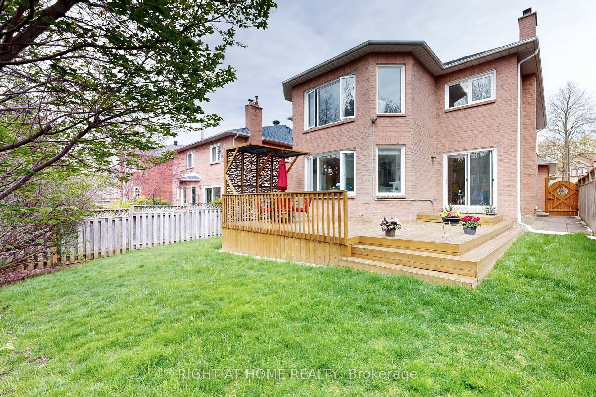 Backyard - deck