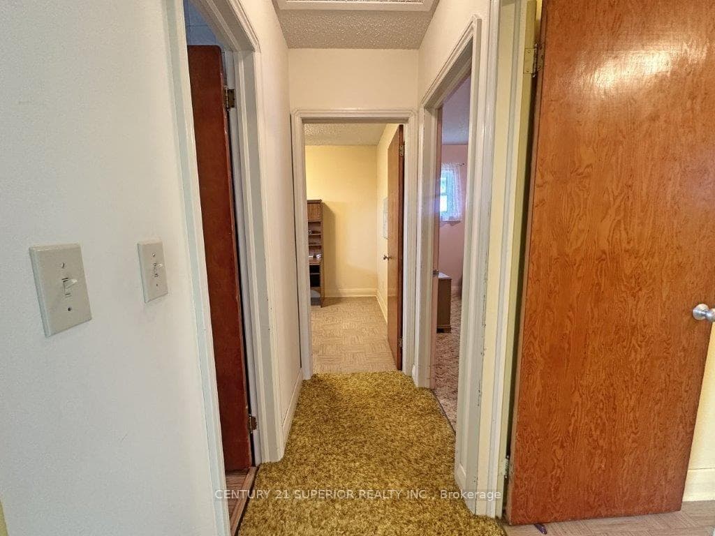 183 McKirdy Ave photo 20