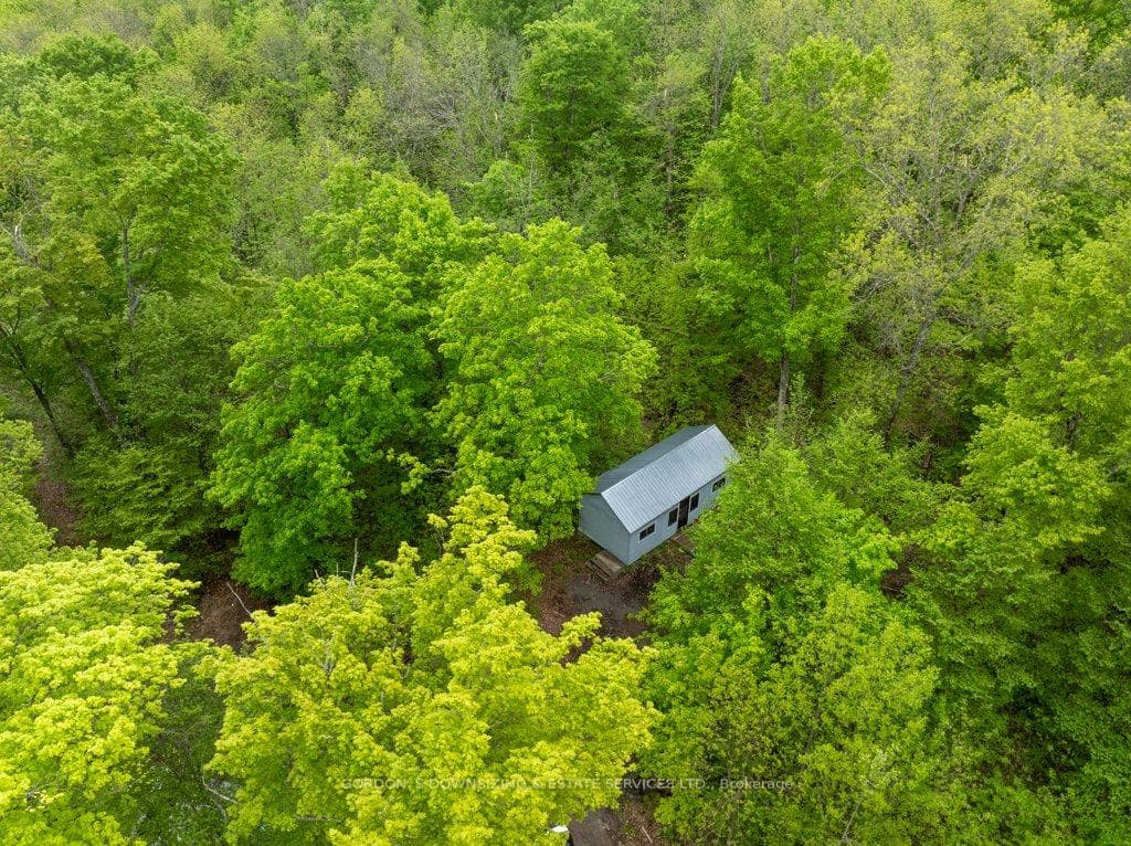 257 Westall Lane photo 35