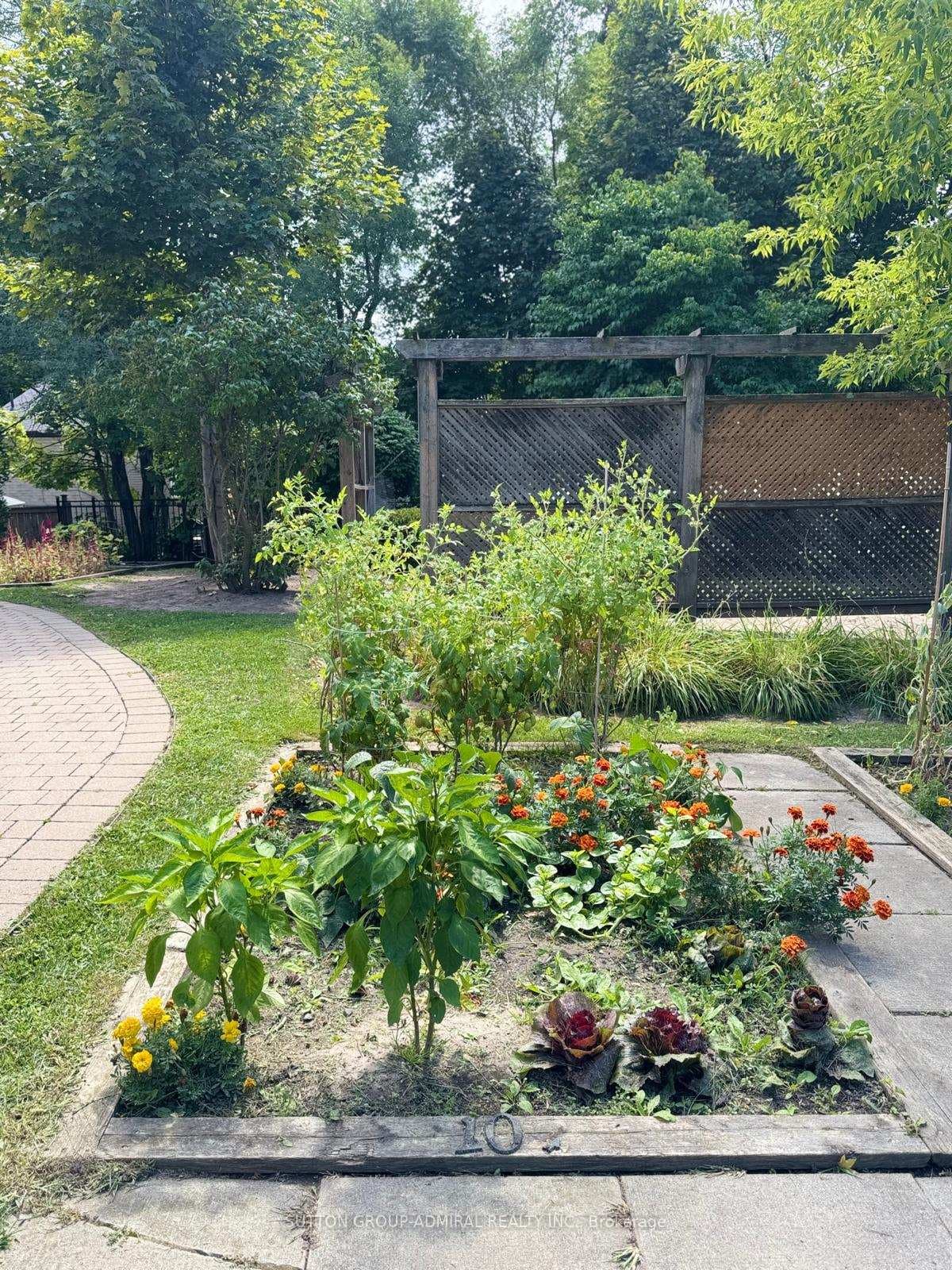Communal Garden