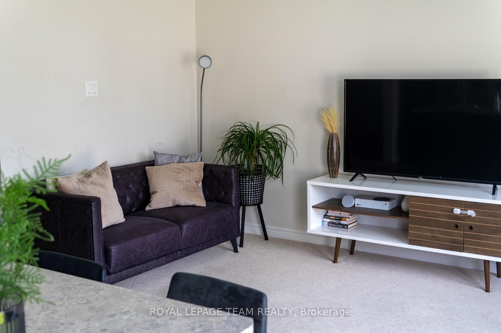 507 Catleaf Row photo 9