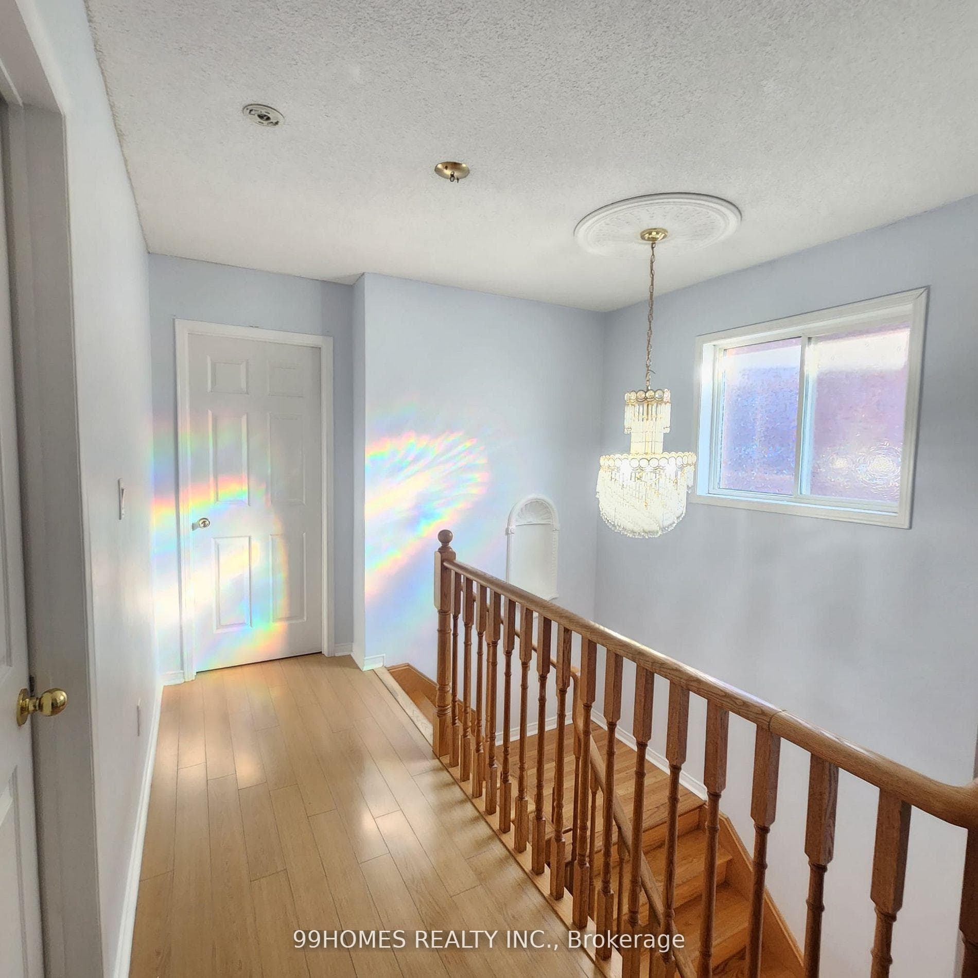 49 Olympia Crescent photo 11