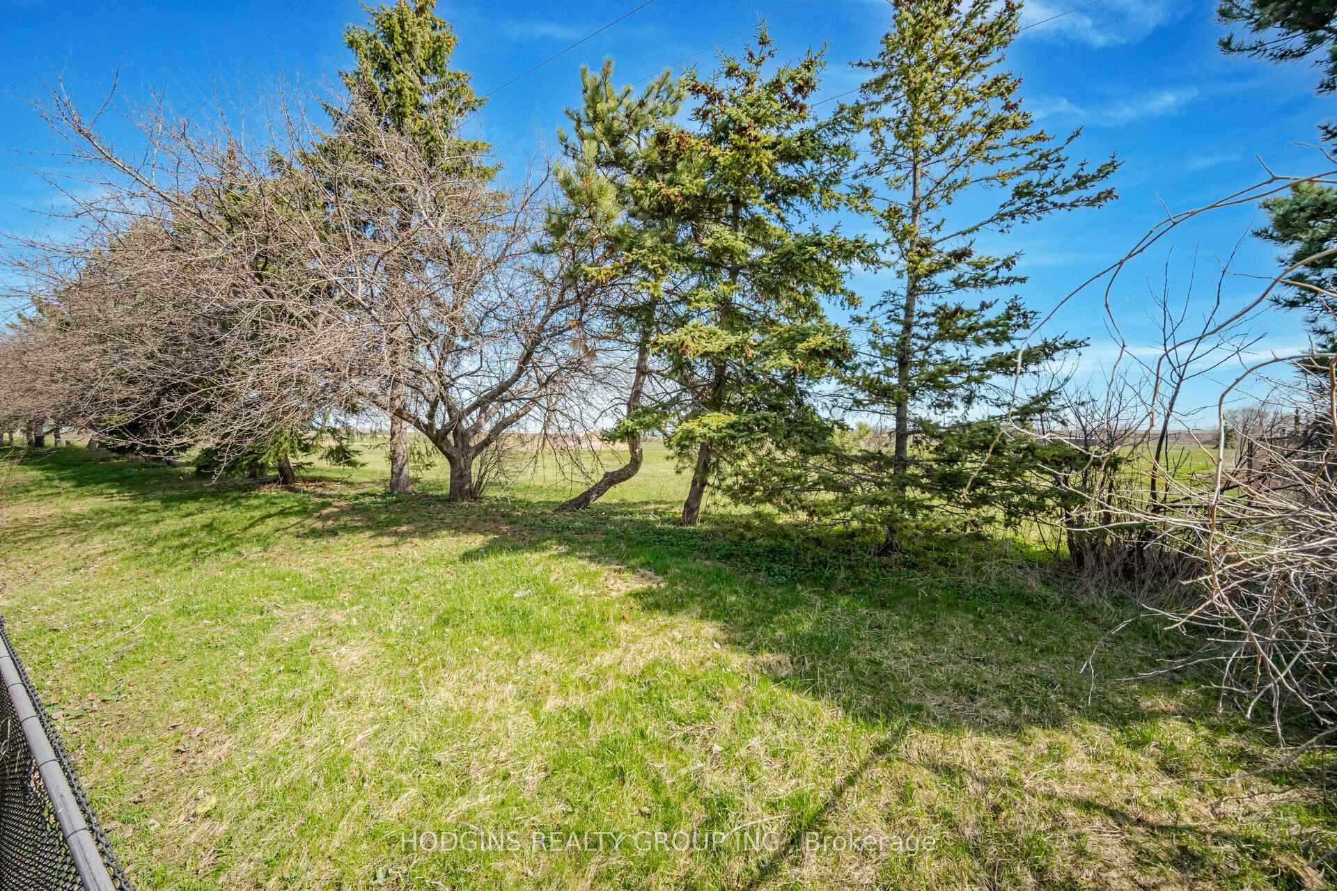 4583 Full Moon Circle photo 32