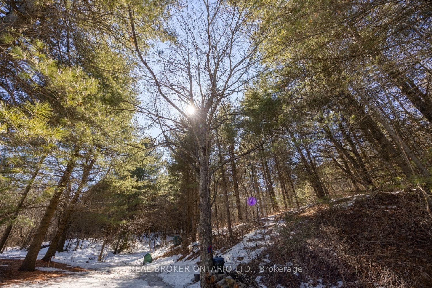 7295 Cavan Road photo 41