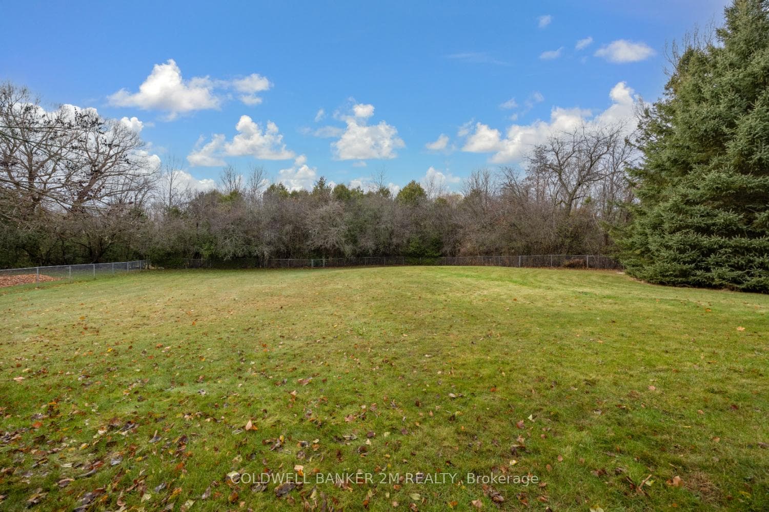 619 Alma Street photo 39