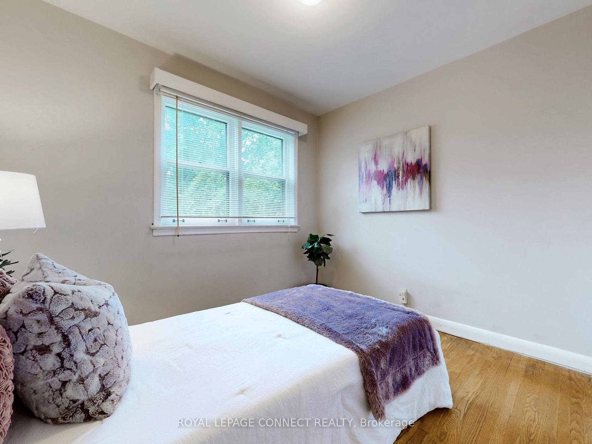 17 Panmure Crescent photo 20