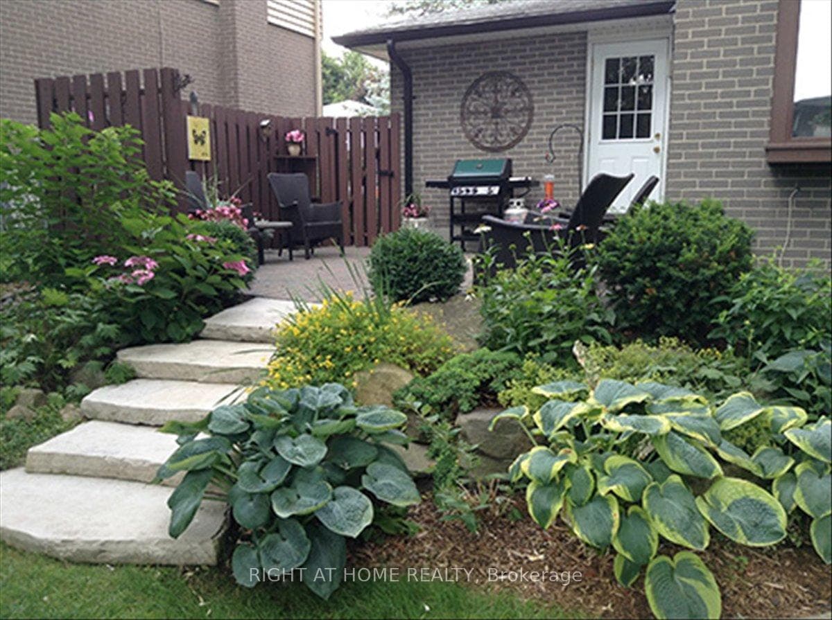 Backyard gardens.
