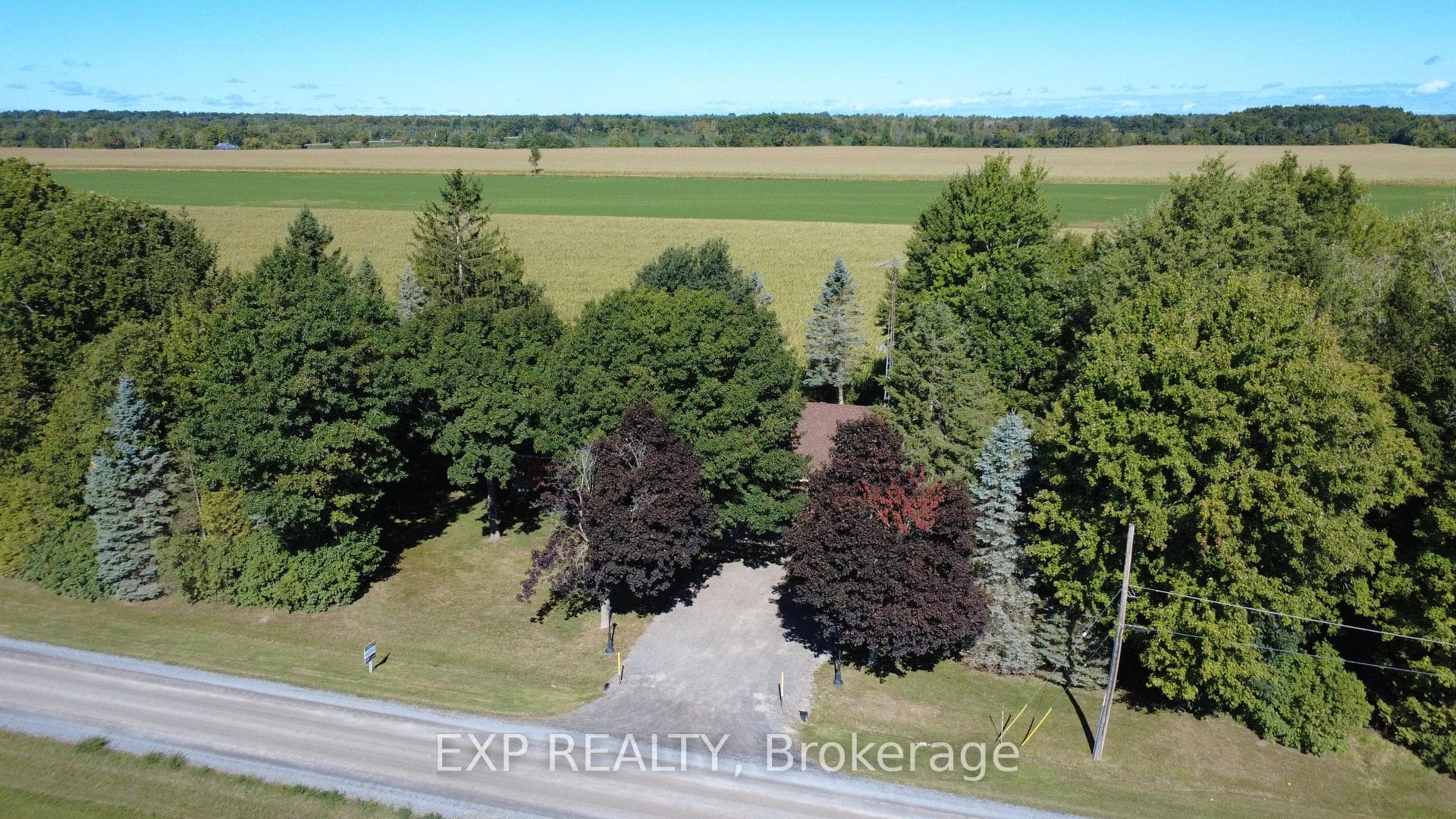 9185 Ray Wilson Road photo 28