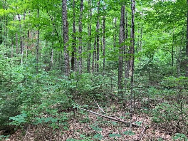 6732 County Road 620 N/A photo 8