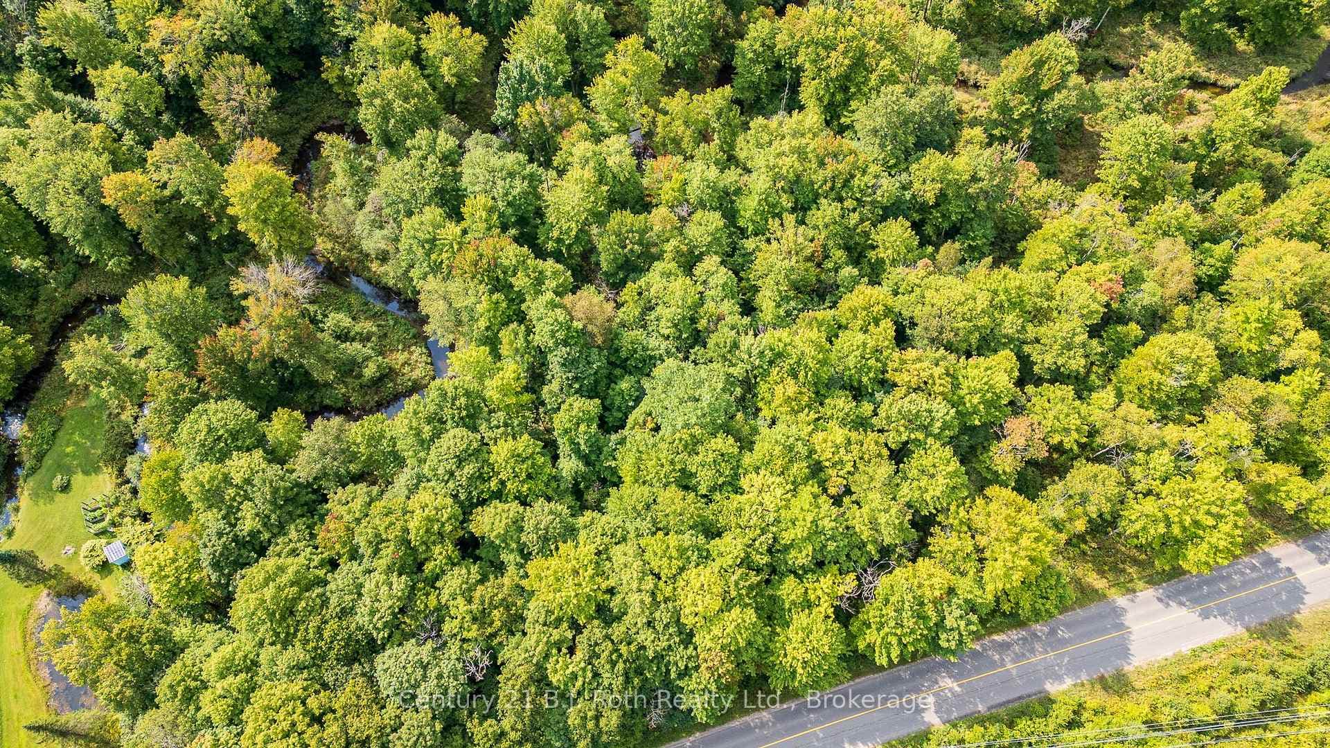LOT 20 BEIERS Road photo 4