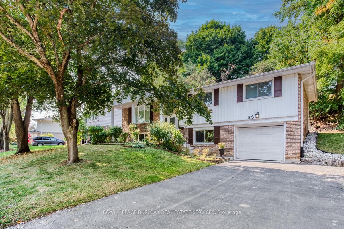 38 Robinhood Drive photo 1