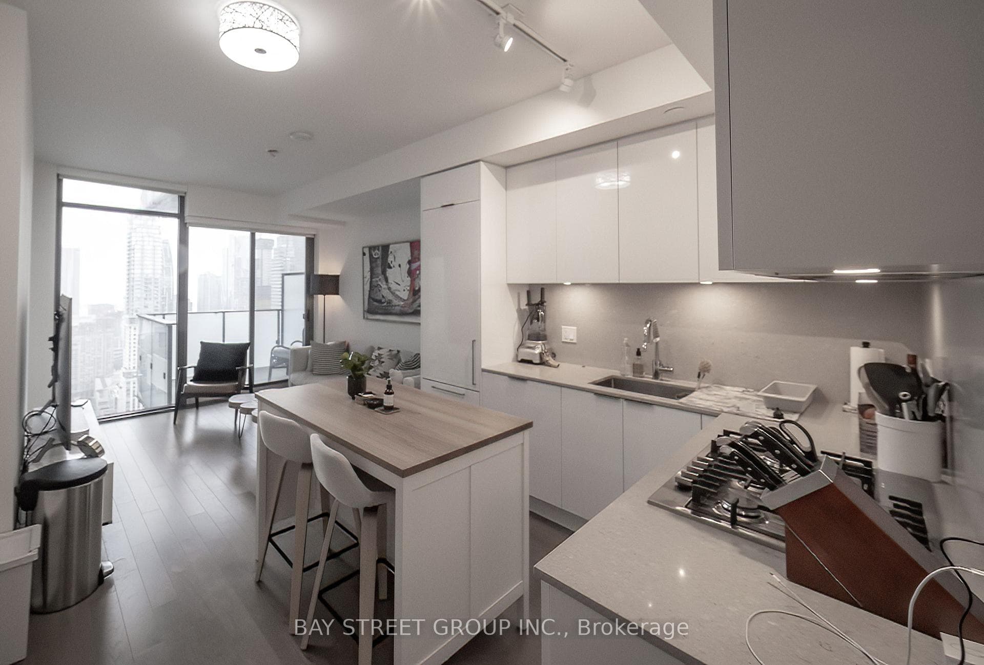 20 Lombard Street Unit 4205 photo 13