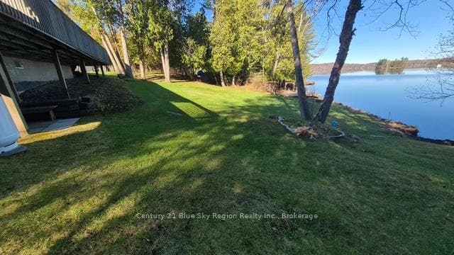 12 Cherry Lane photo 39