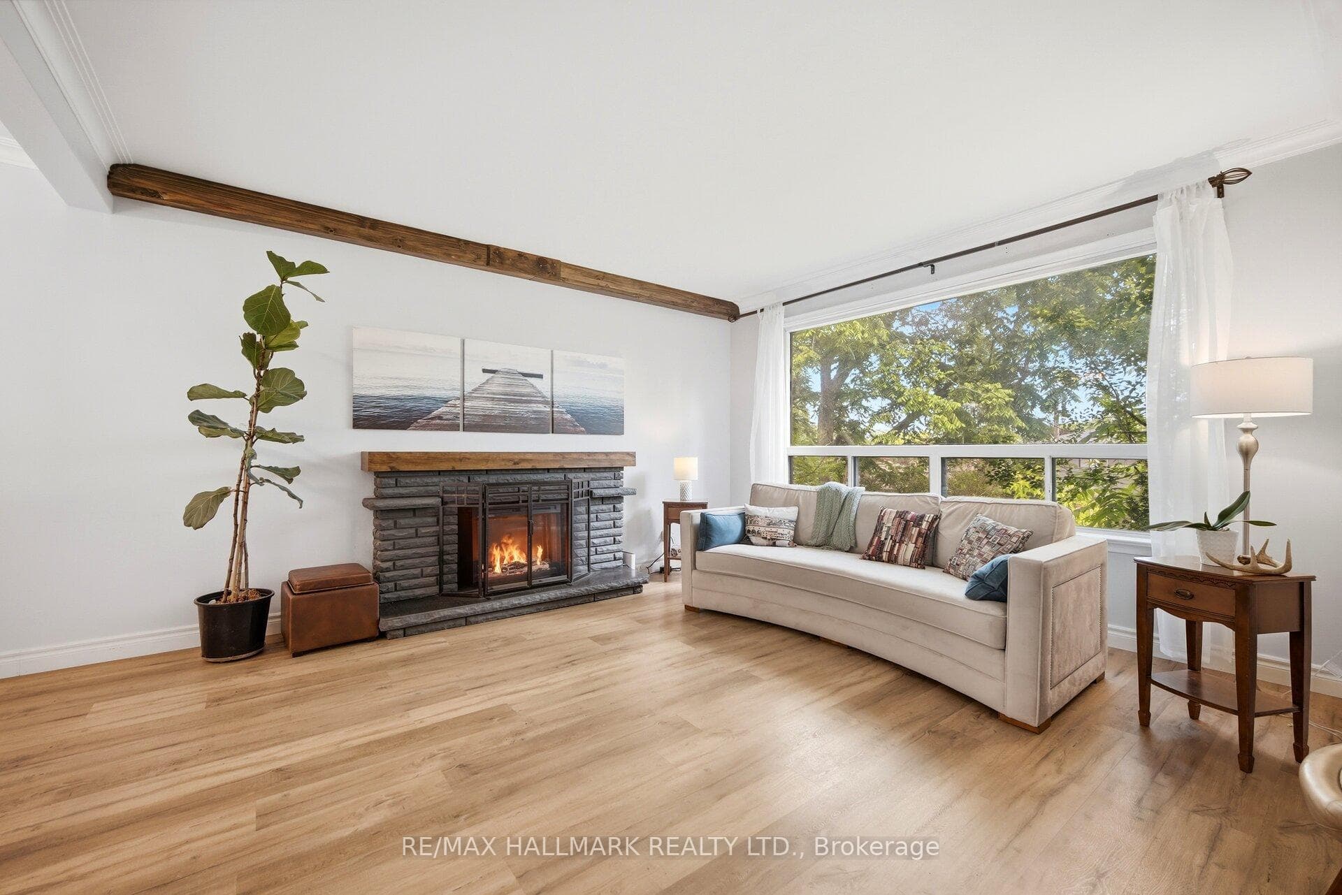 42 Catalina Drive photo 10