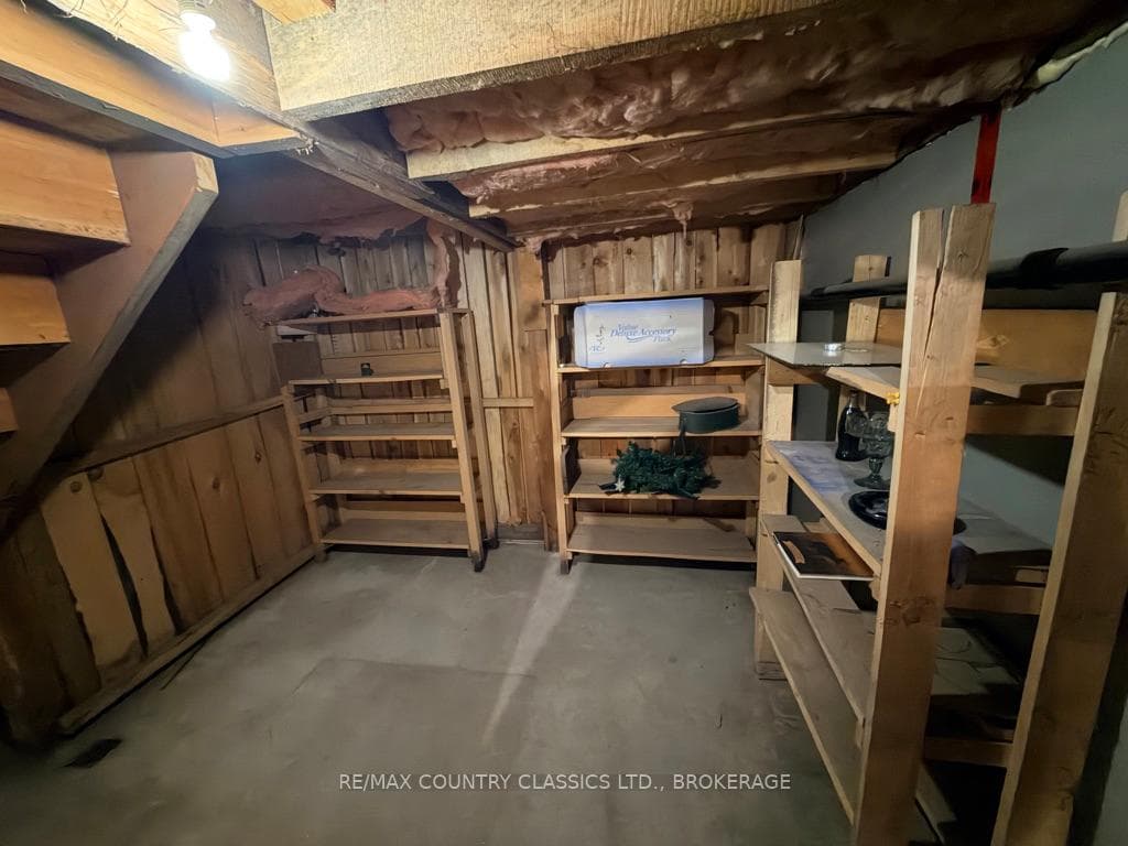 Basement - dry goods storage under stairs