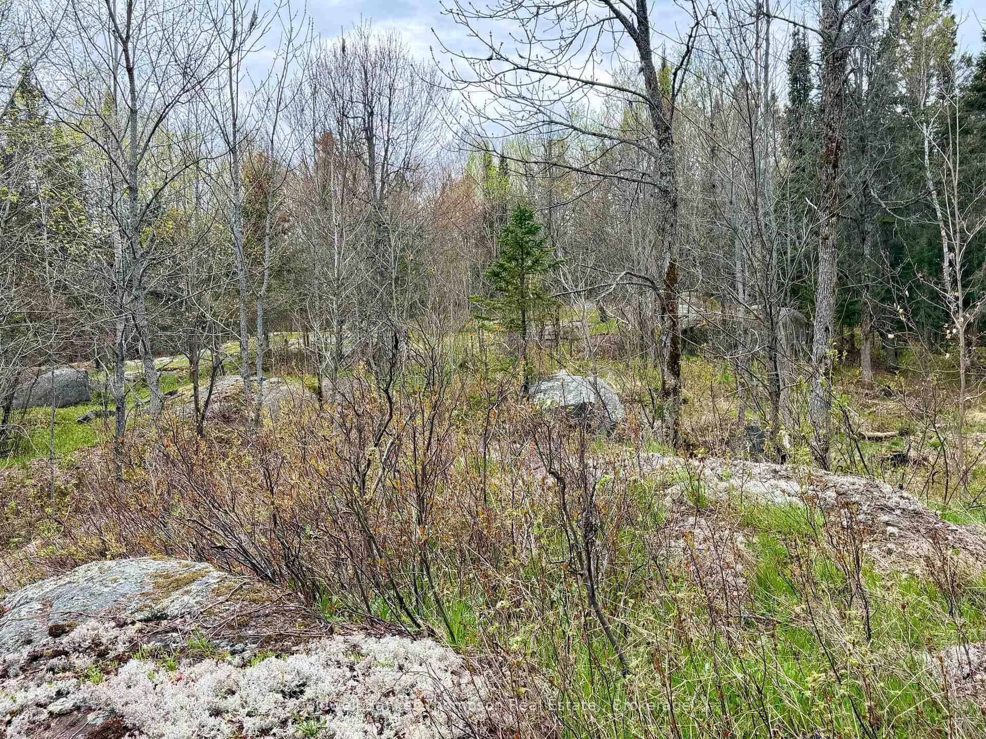 0-L26 HWY 522 Highway photo 7