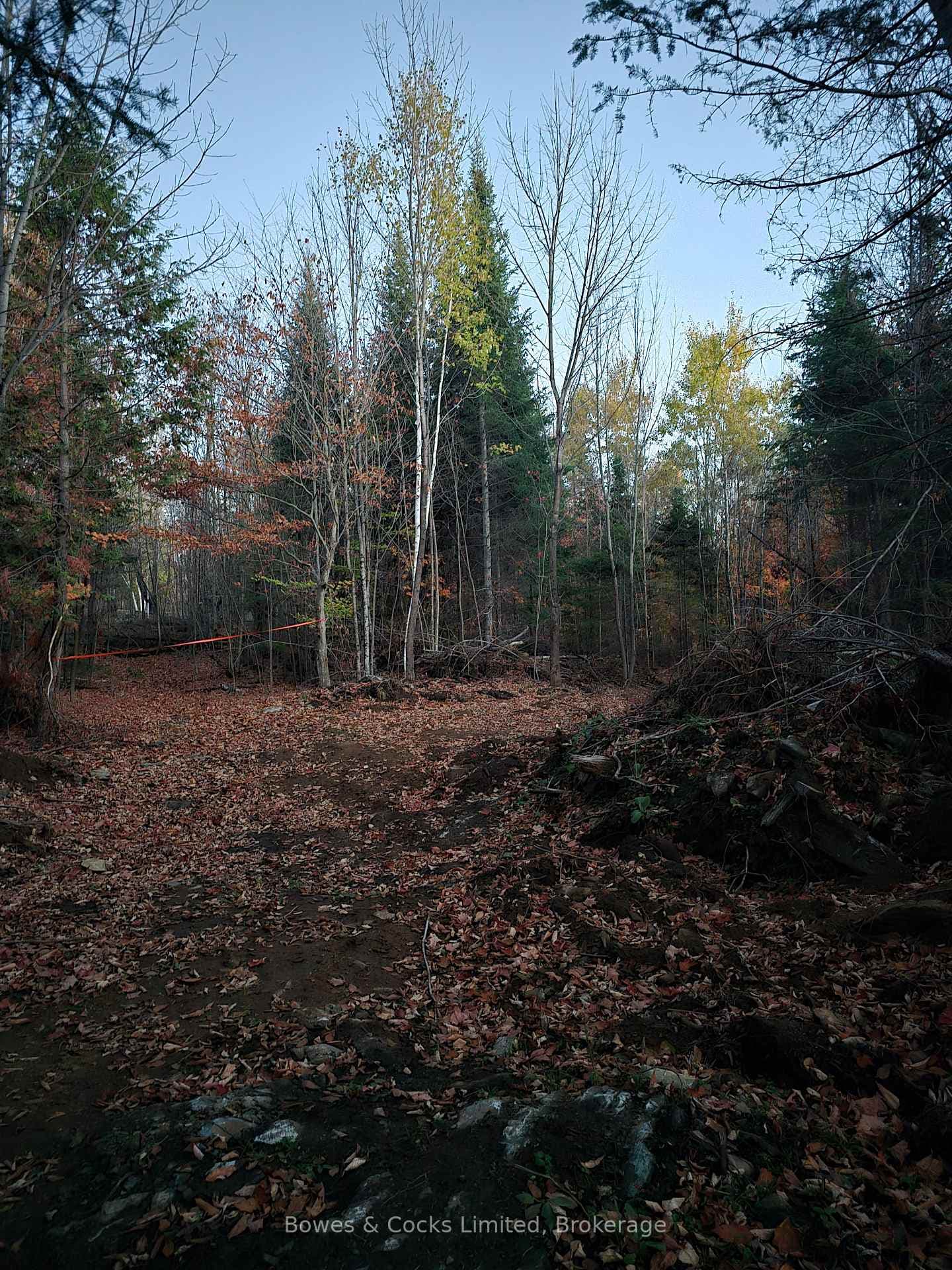 42 Clear Lake Court photo 26