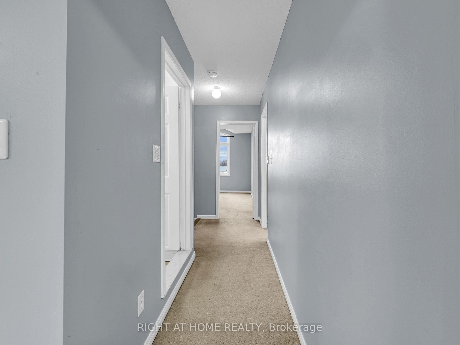 162 Bayly Street photo 12