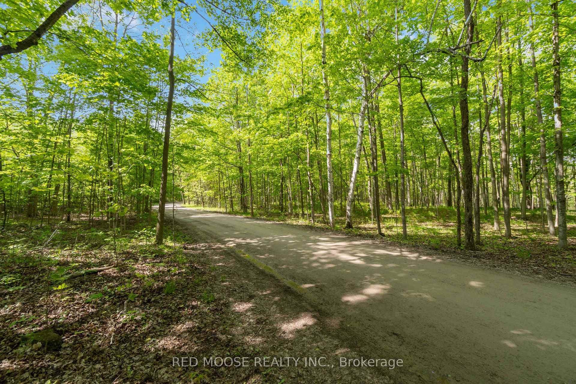 Part Lot 4 Concession 1 Road photo 16