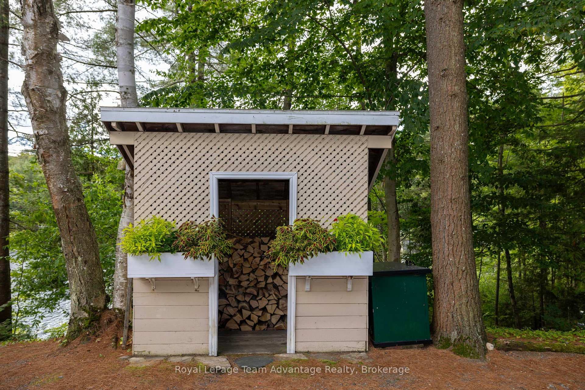 Wood storage for fireplace
