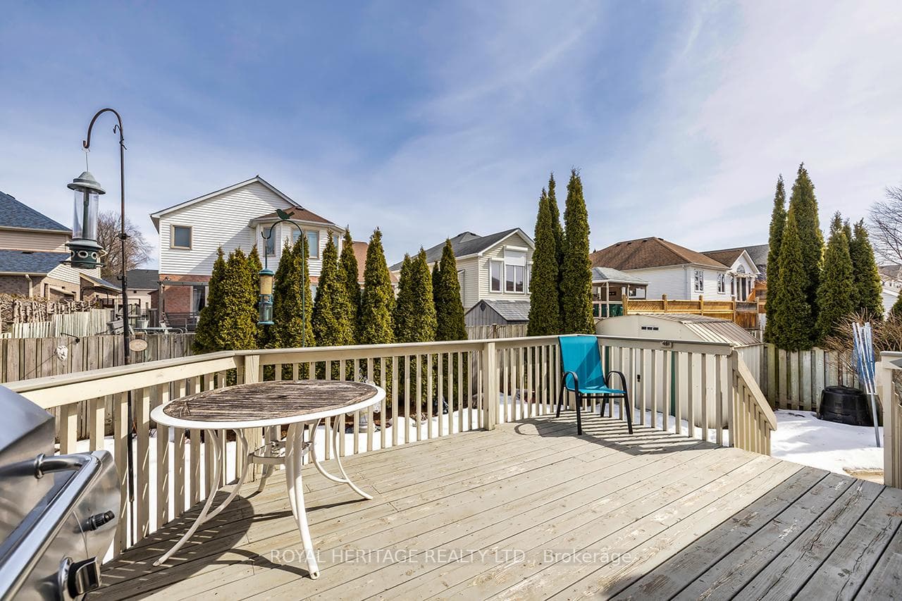 457 Safari Drive photo 48