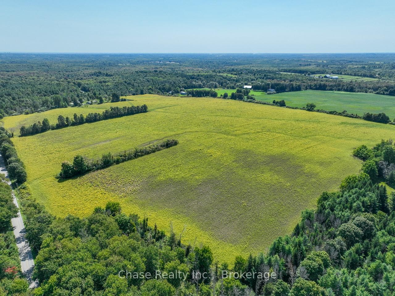 Lot 1 Milburough Line photo 3