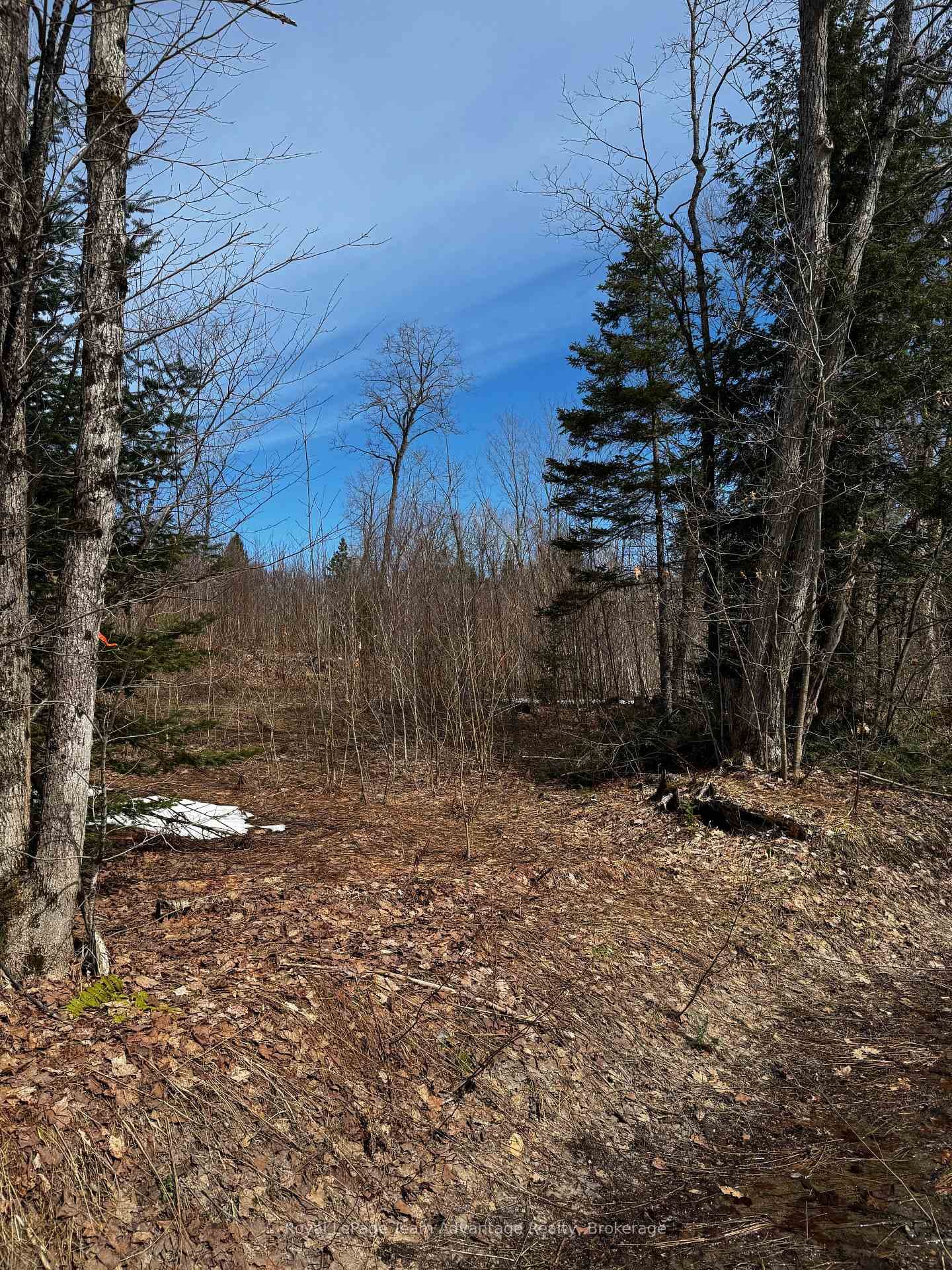 Lot 2 Lorimer Lake Road photo 10
