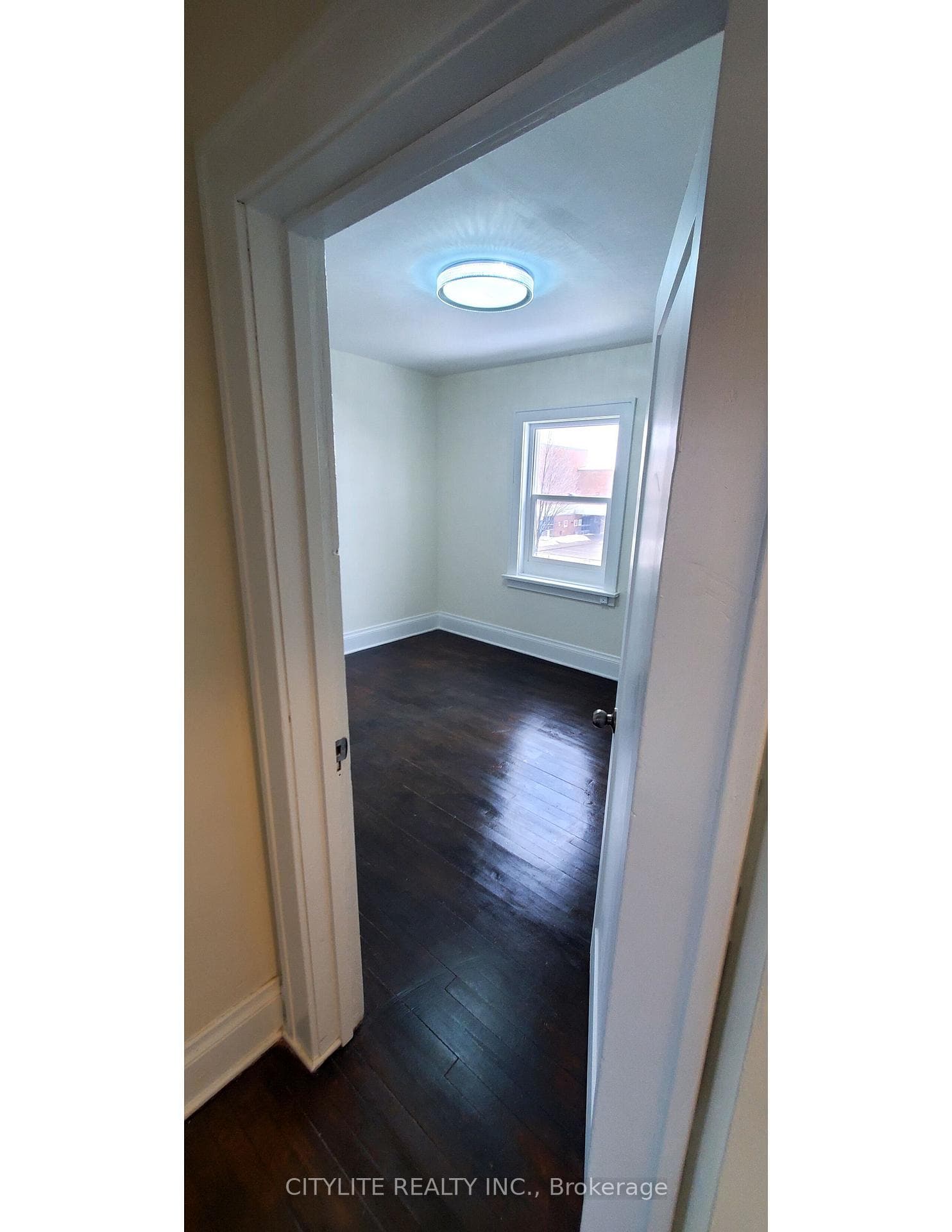 244 Albert Street photo 24