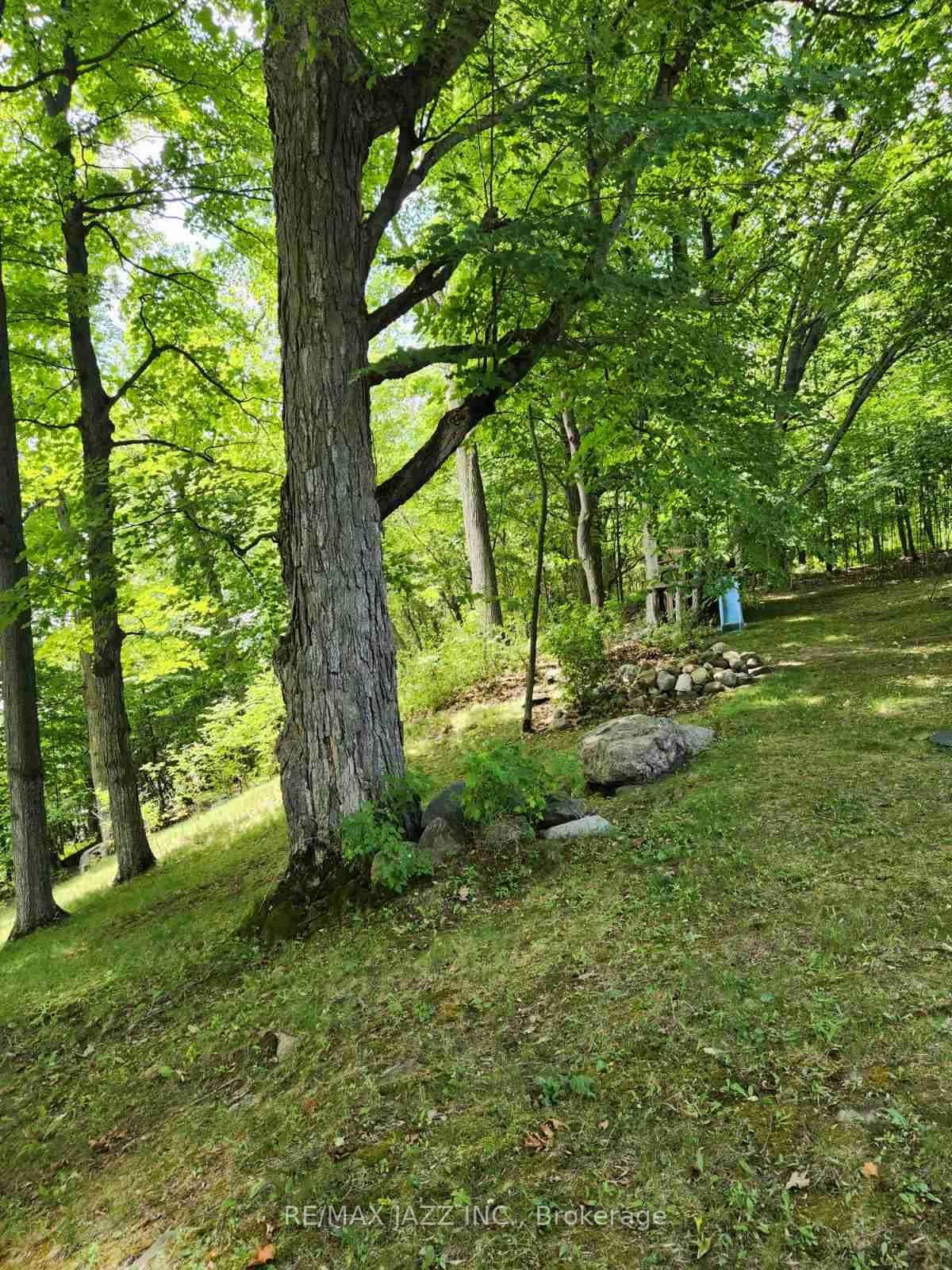 122 Cow Island N/A photo 38