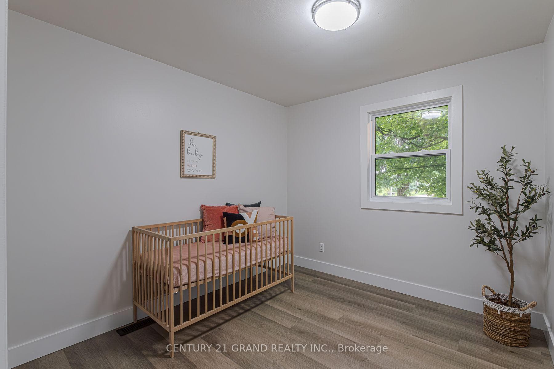 550 Mount Pleasant Road photo 17
