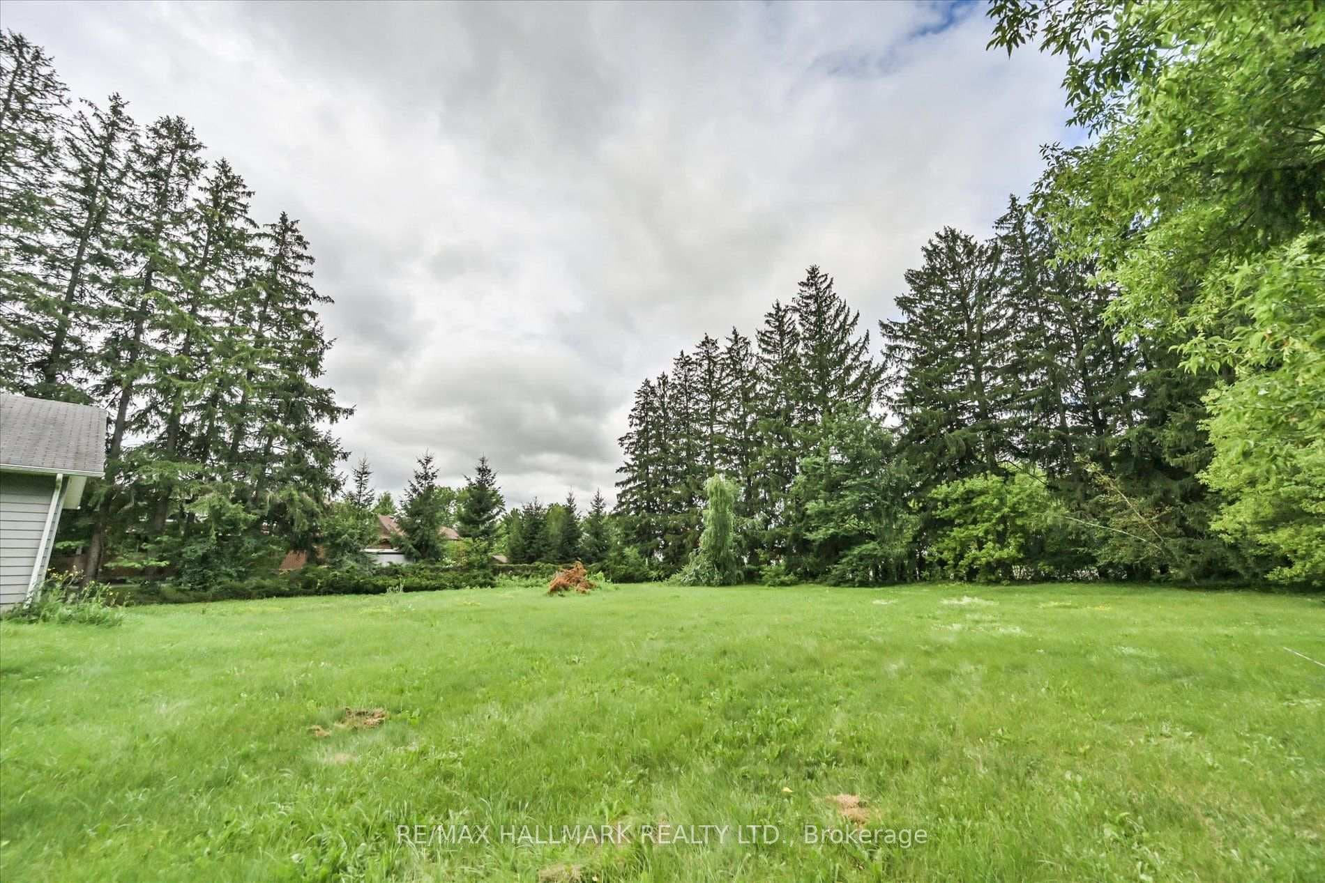 13918 Leslie Street photo 40