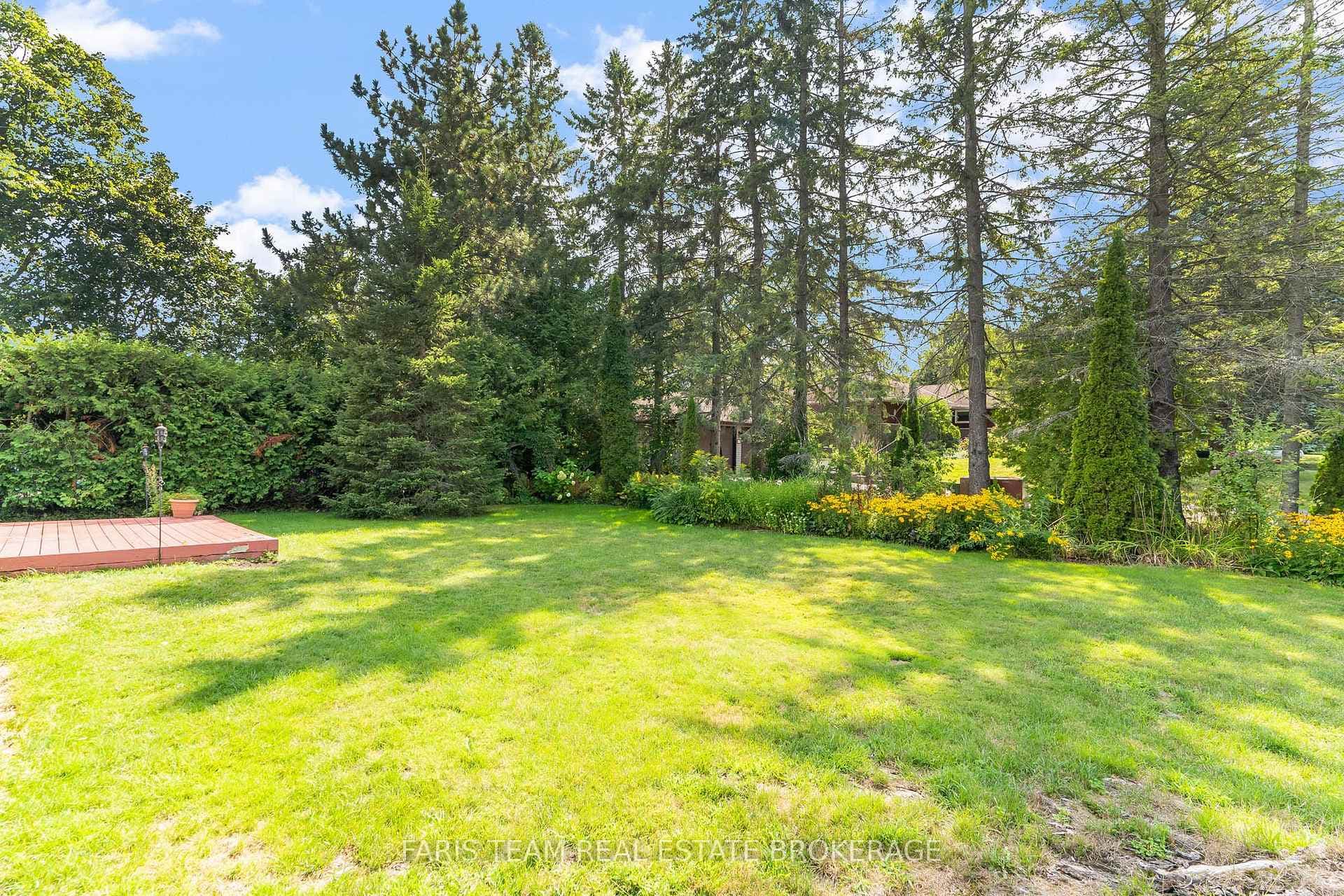 53 Maple Drive photo 38