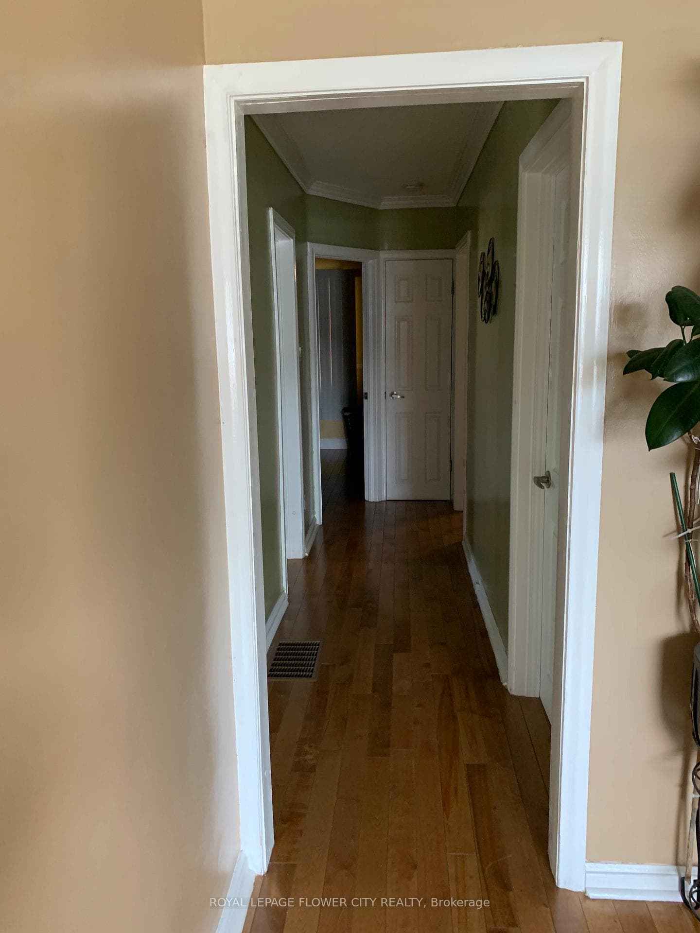 5 Monarchdale Avenue photo 8