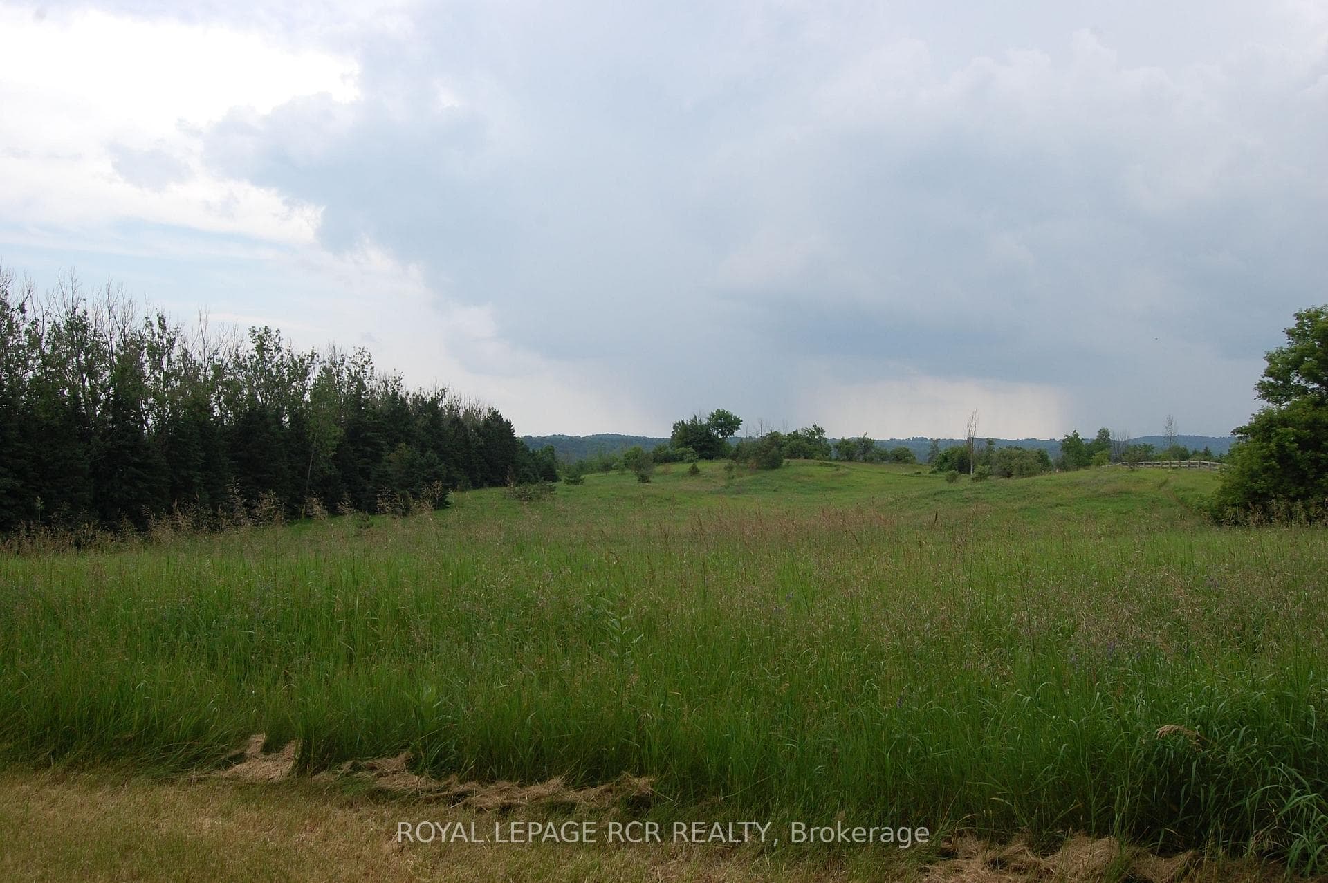 954293 7th Line photo 24
