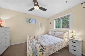 91 Gibson Bay Road photo 15