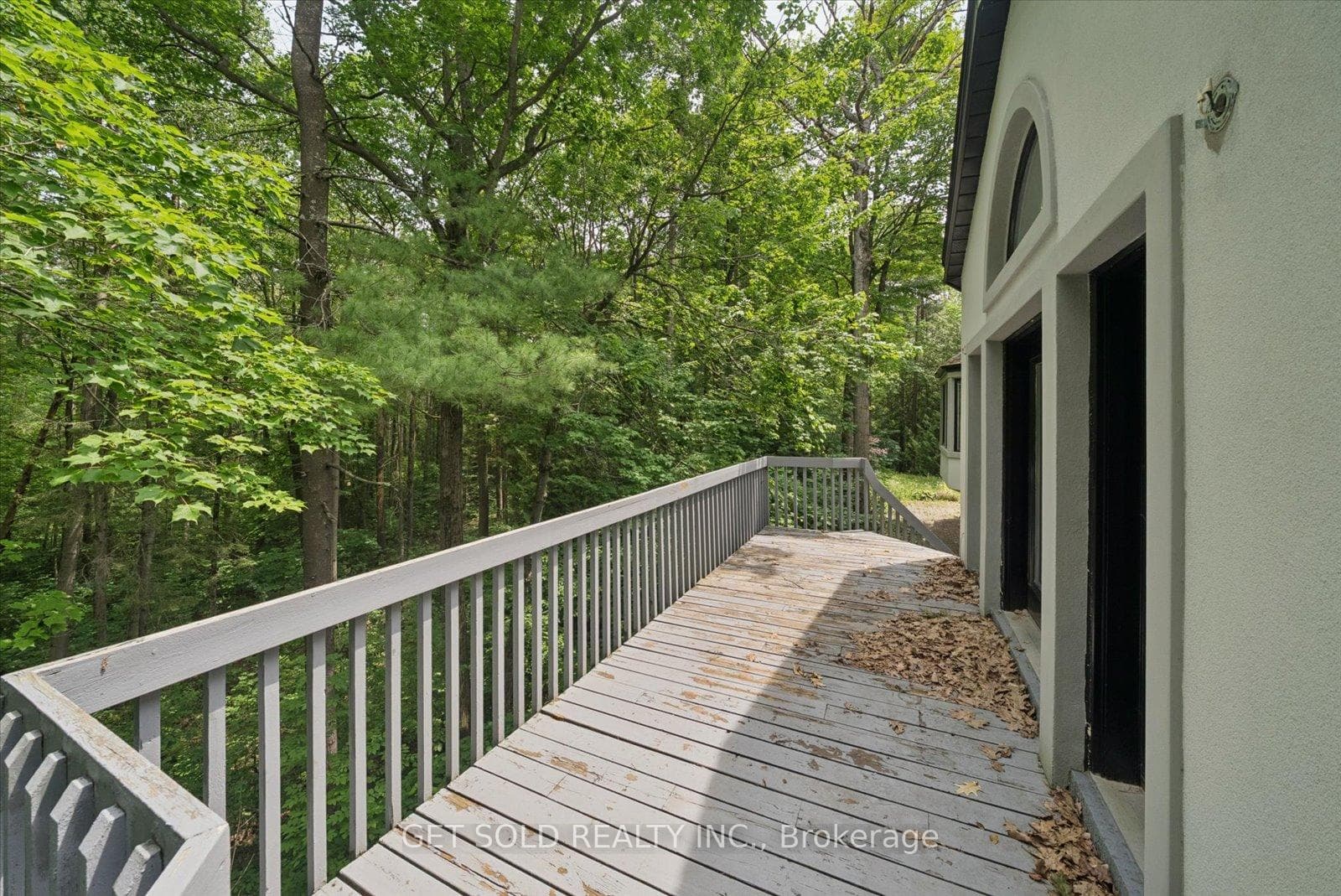 80 White Pine Trail photo 10