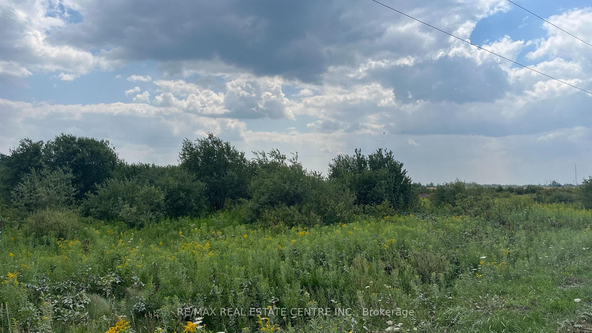 681044 260 Side Road photo 4