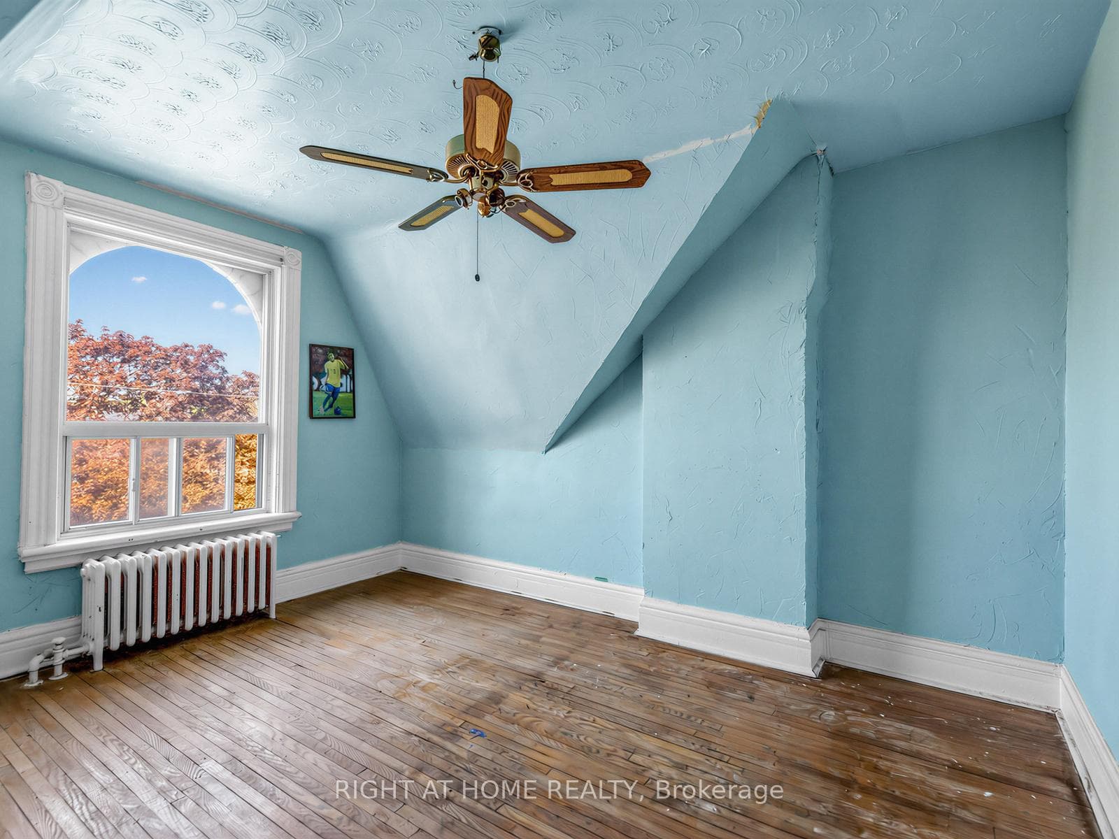 91 Borden Street photo 24