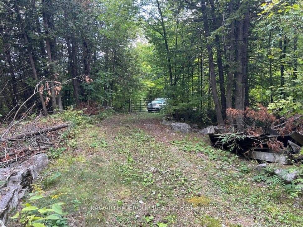 176 Base Line Road photo 5