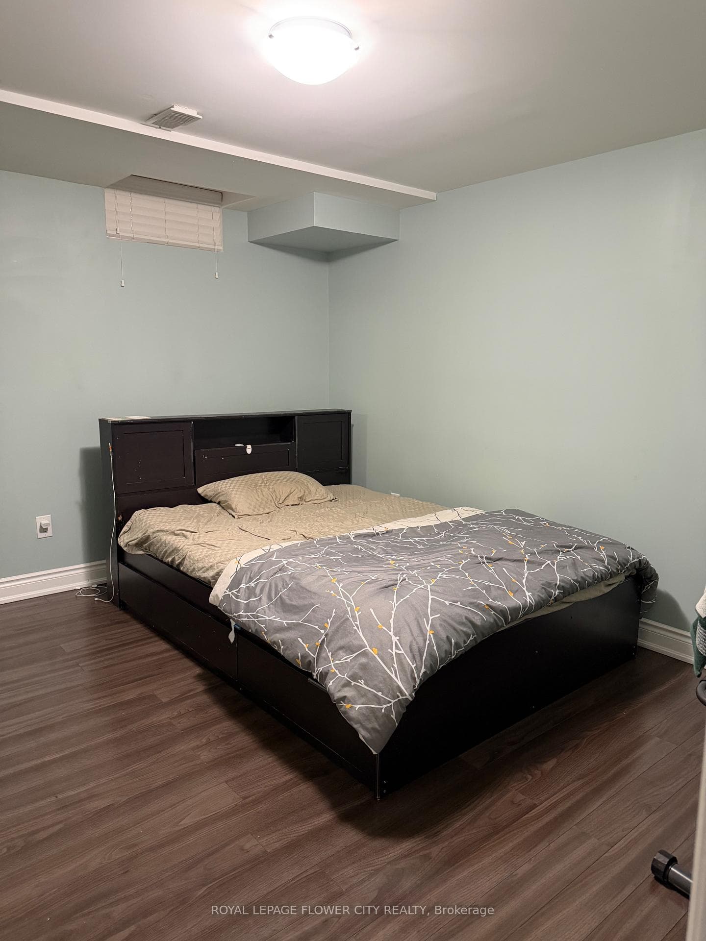 24 Speedwell Street photo 8