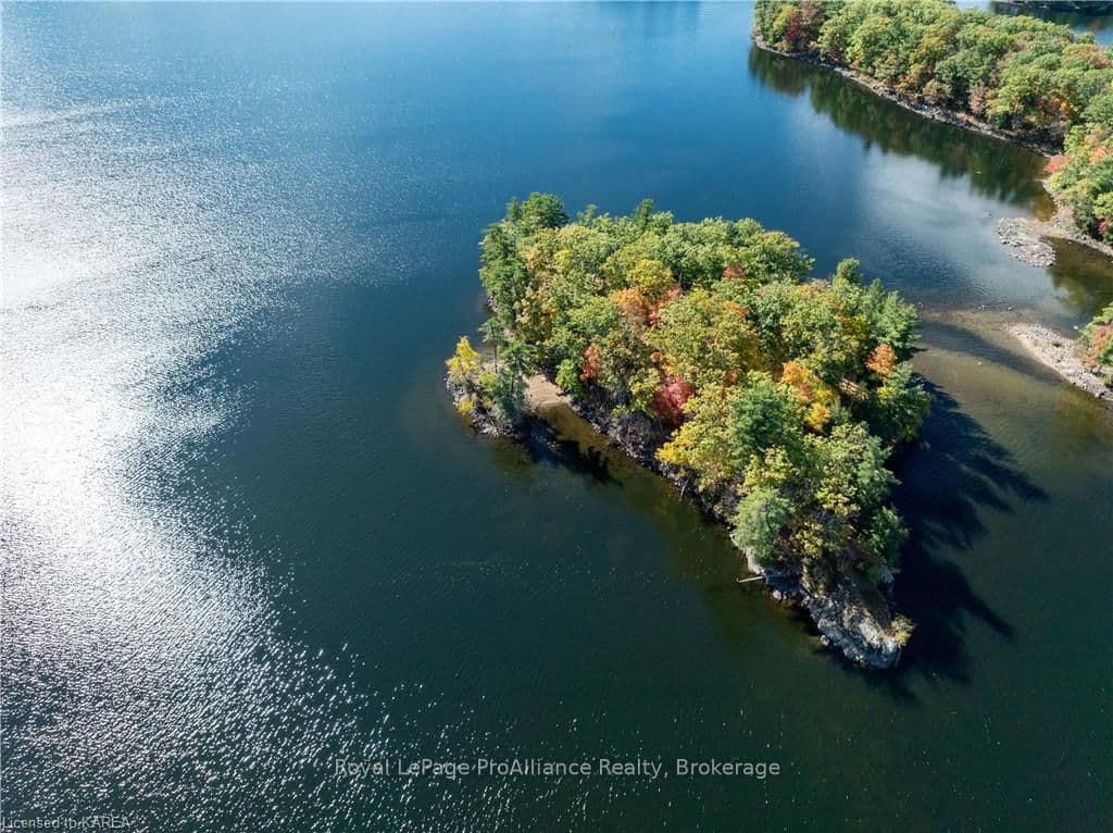 200 SUGAR BUSH LANE N/A photo 41
