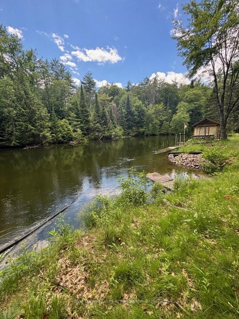 1019 Loyalist Drive photo 11